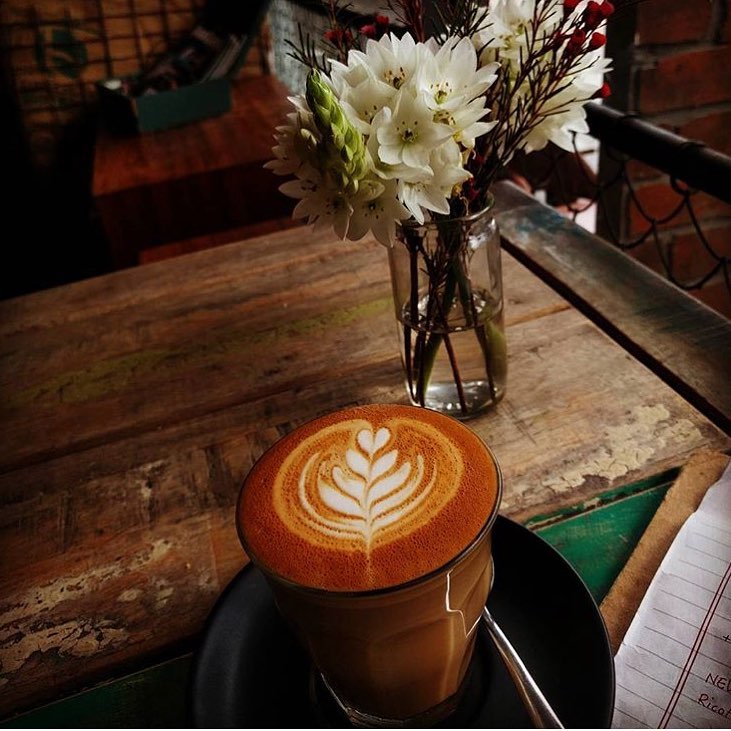 Coffee and flowers at one of Kingsfords best cafes, Brewing Now